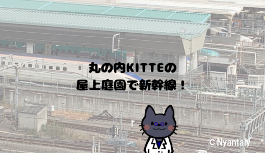 東京駅の新幹線スポット。丸の内KITTEの屋上庭園で電車好きの息子が大満足な話
